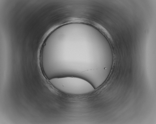 X0000113361427200909150957