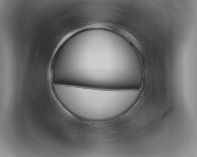X0000113361428200909150957