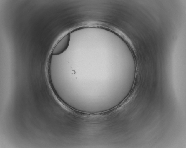 X0000113361429200909150957