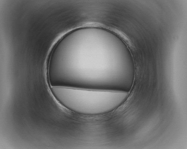 X0000113361430200909150957