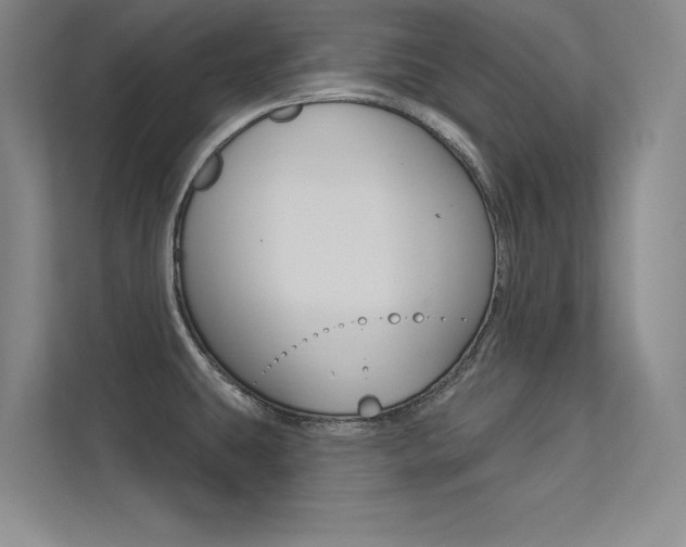 X0000113361431200909150957
