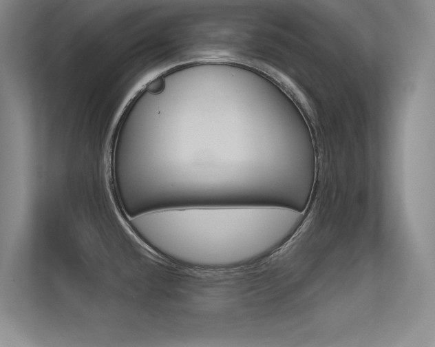 X0000113361432200909150957