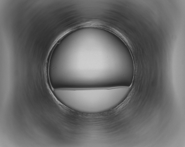 X0000113361434200909150957