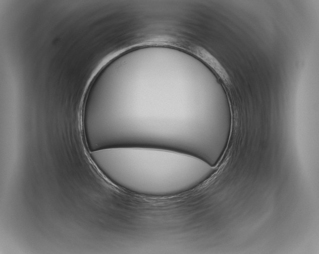 X0000113361436200909150957