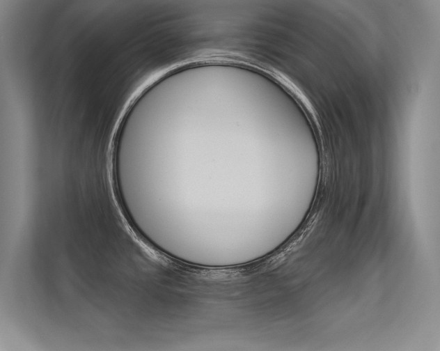 X0000113361437200909150957
