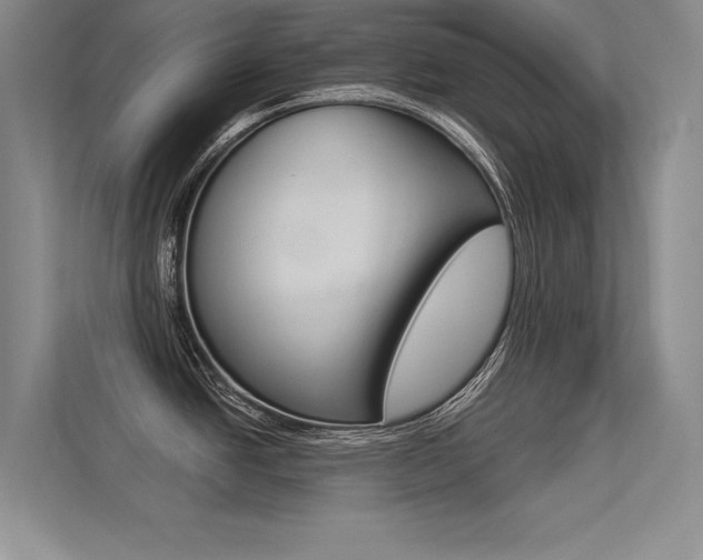 X0000113361438200909150958