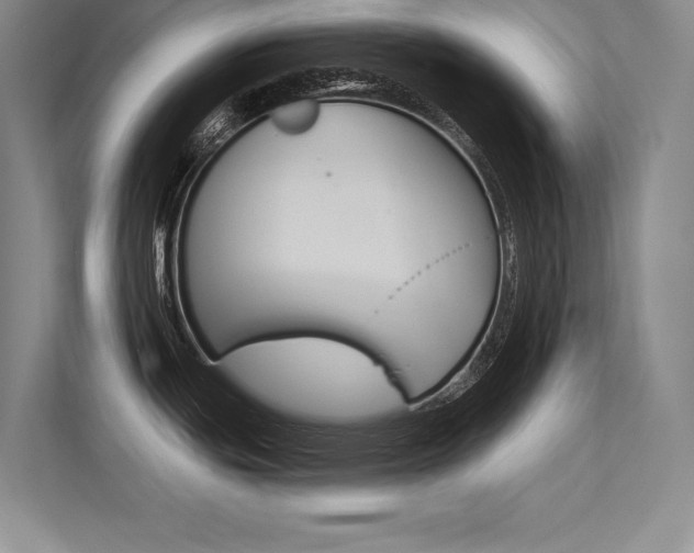 X0000113361439200909150958