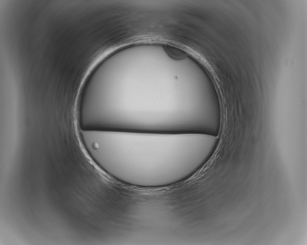 X0000113361440200909150958