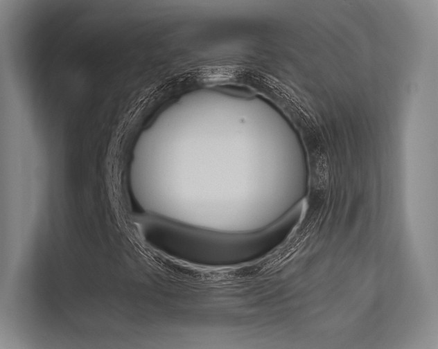 X0000113361441200909150957
