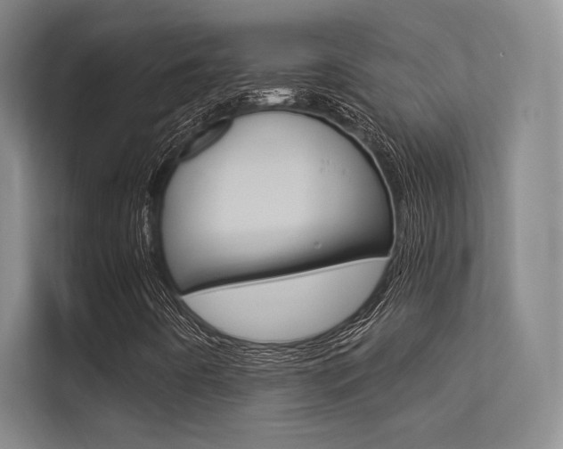 X0000113361442200909150957