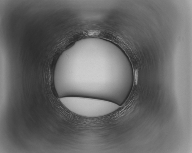 X0000113361443200909150957