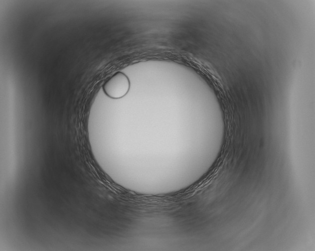 X0000113361445200909150957
