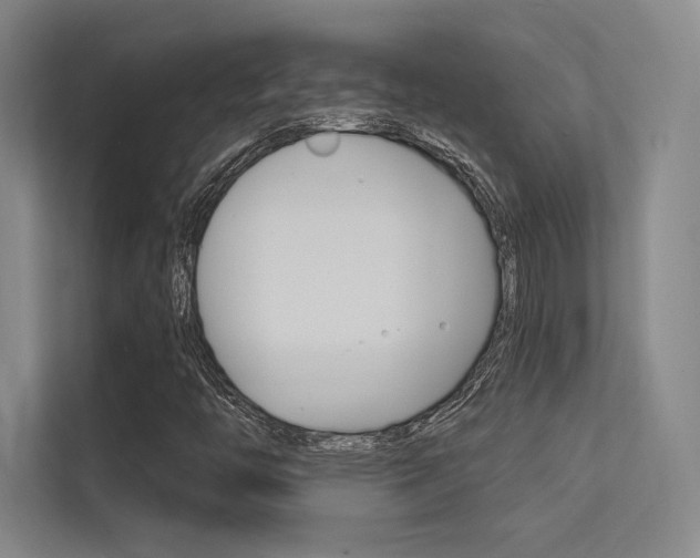 X0000113361446200909150957