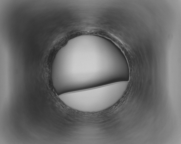 X0000113361447200909150957