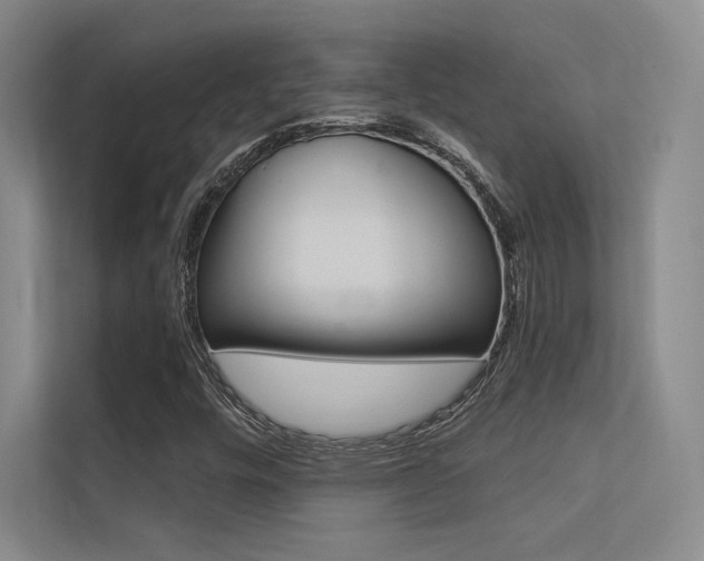 X0000113361448200909150957