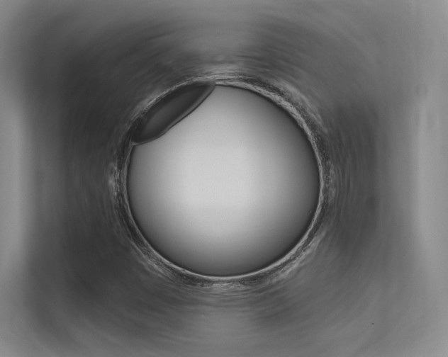 X0000113361449200909150957