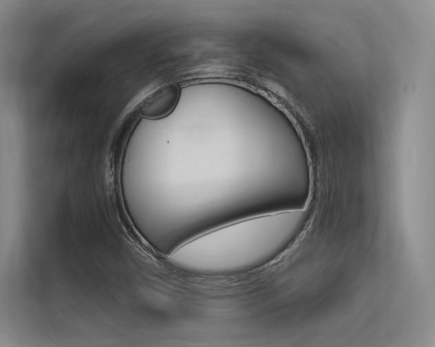X0000113361450200909150957
