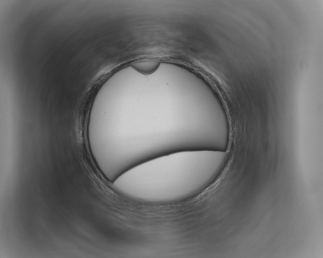 X0000113361451200909150957