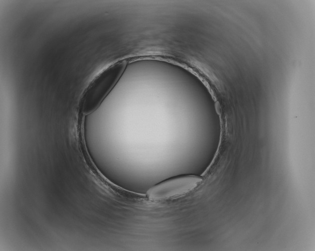 X0000113361452200909150957