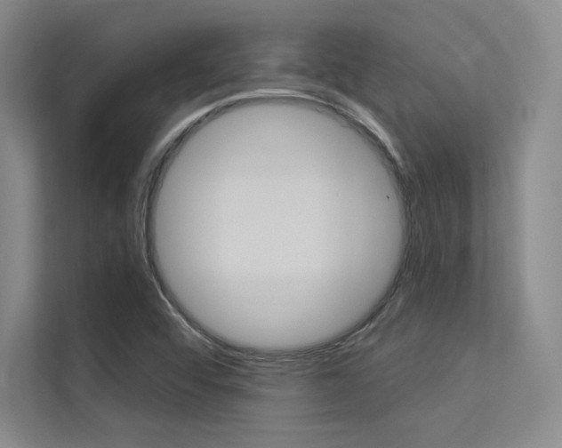 X0000113361456200909150957
