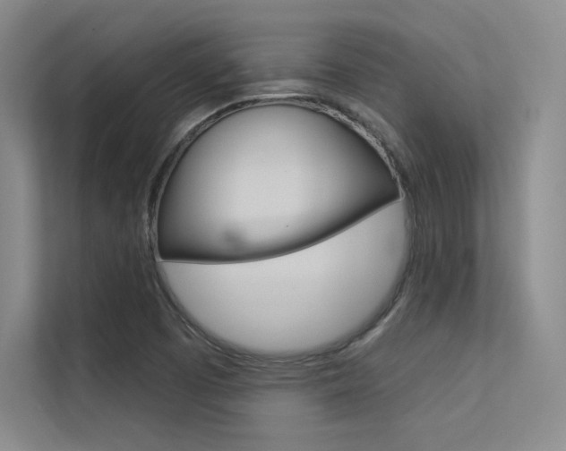 X0000113361457200909150957