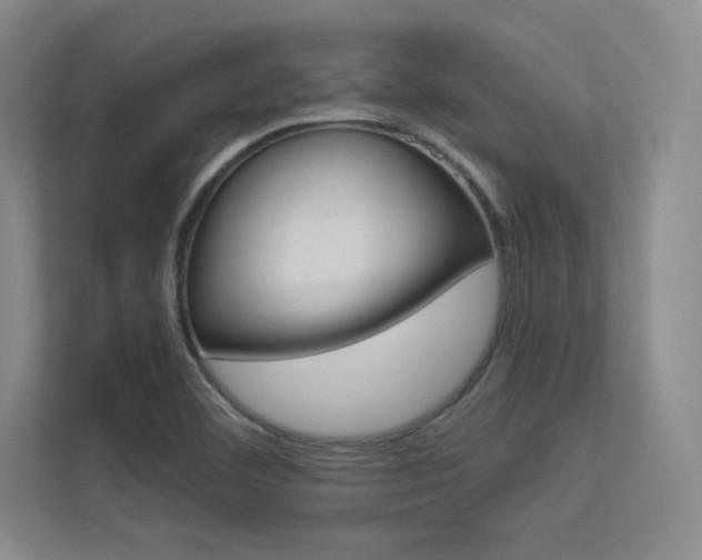 X0000113361460200909150957
