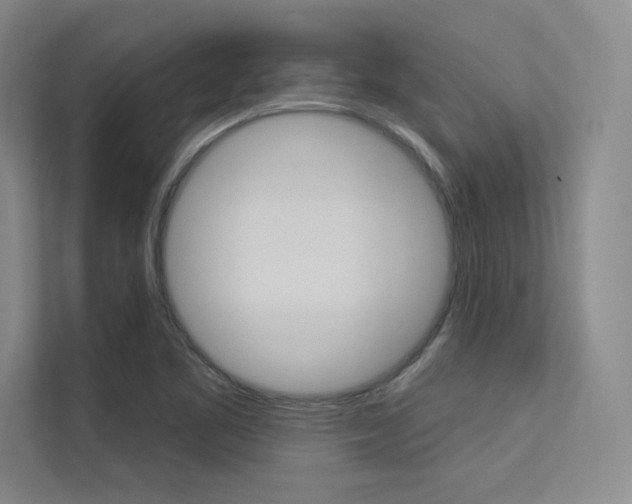 X0000113361461200909150957