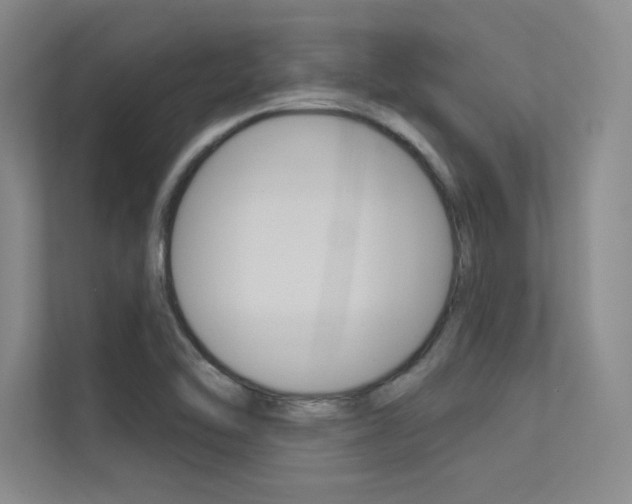 X0000113361462200909150957