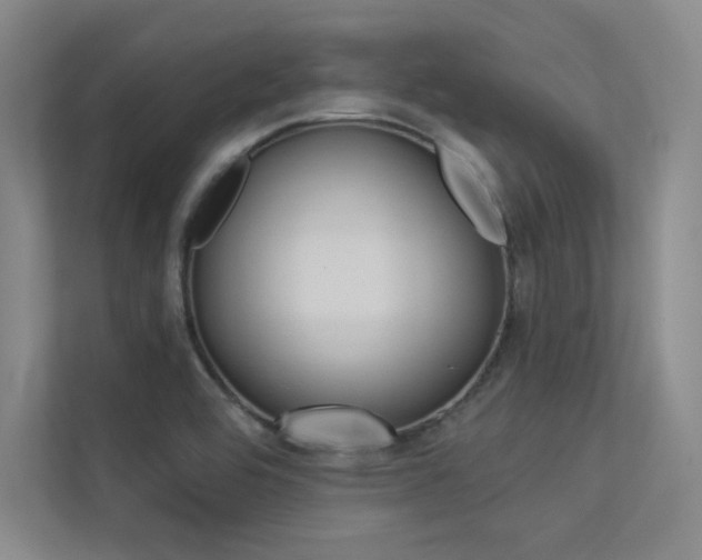 X0000113361464200909150957