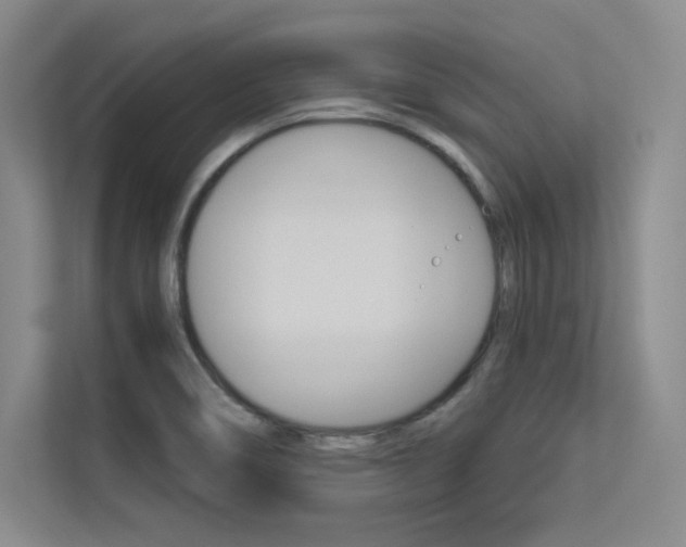 X0000113361466200909150957