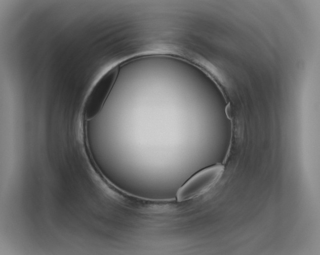 X0000113361468200909150957