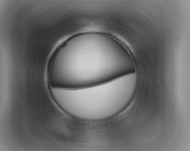 X0000113361469200909150957
