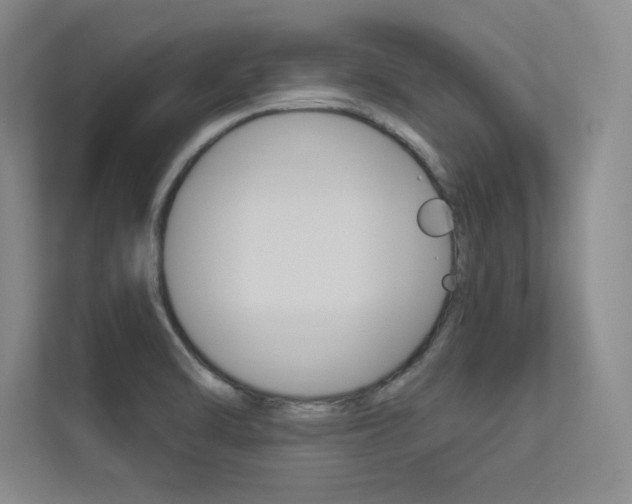 X0000113361470200909150957