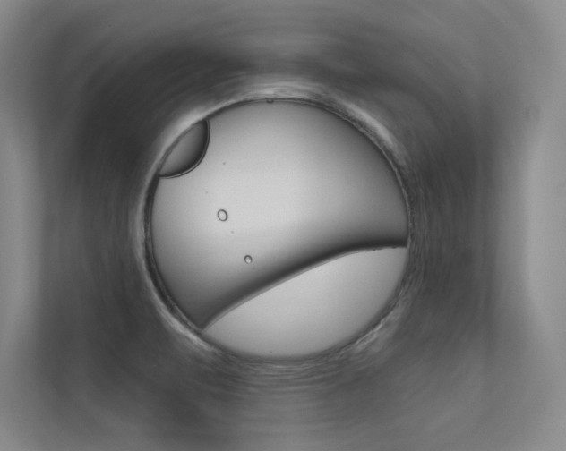 X0000113361471200909150957