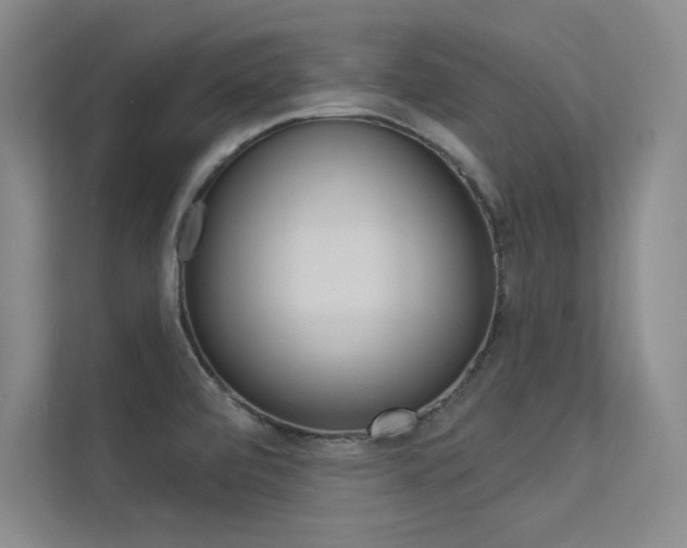 X0000113361472200909150957