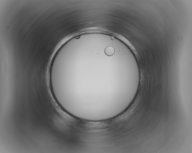X0000113361474200909150956