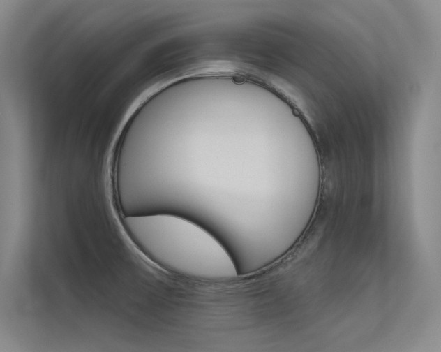 X0000113361475200909150956