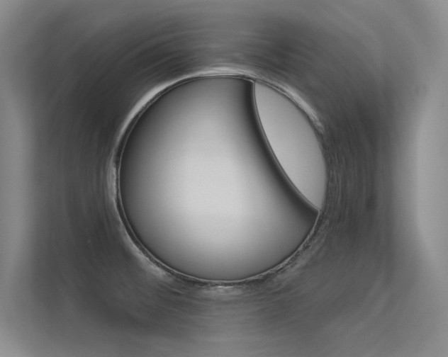X0000113361476200909150956