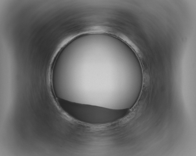 X0000113361477200909150956