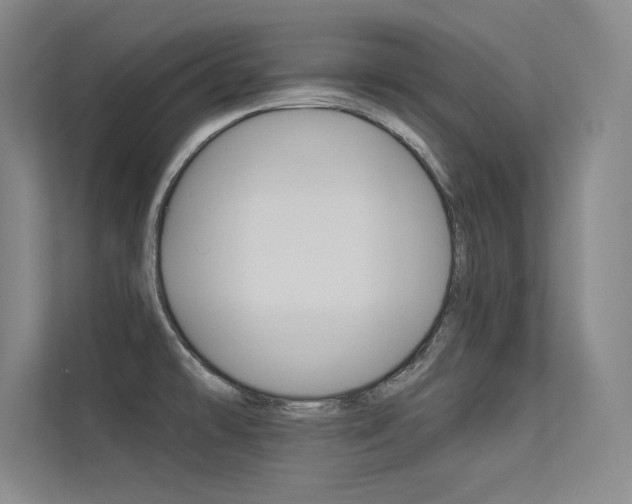 X0000113361478200909150956