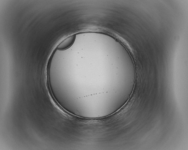 X0000113361479200909150956
