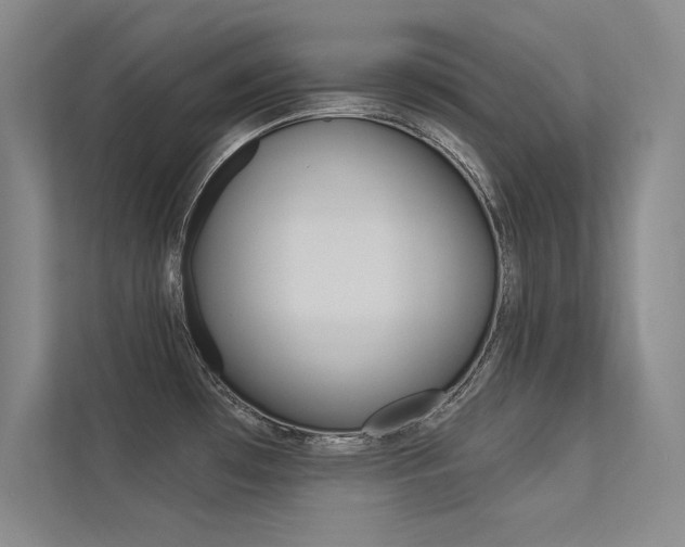 X0000113361481200909150956