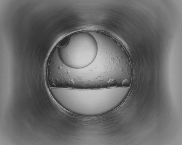X0000113361483200909150956