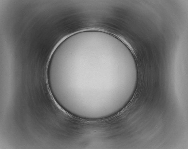 X0000113361484200909150956