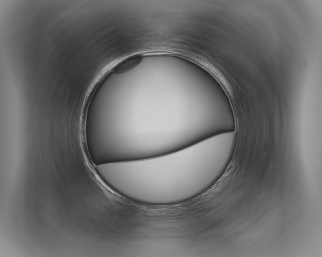 X0000113361485200909150956