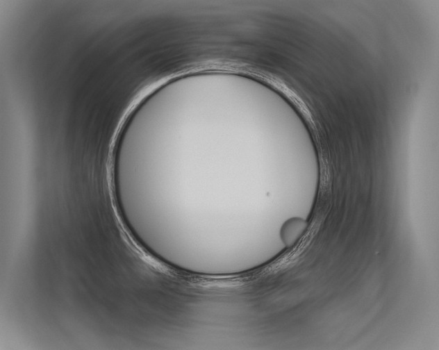 X0000113361486200909150956