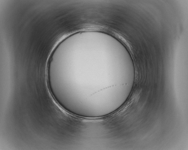 X0000113361487200909150956