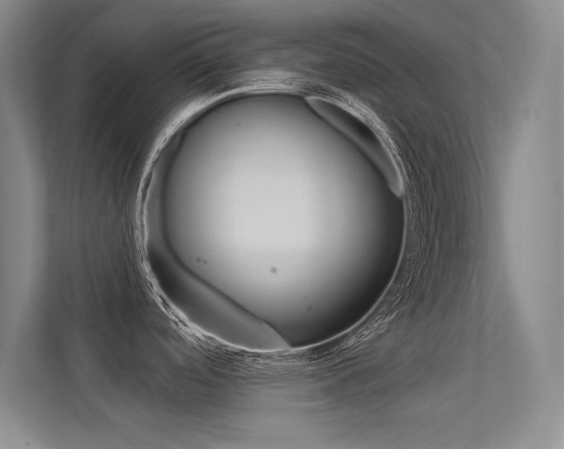X0000113361488200909150956
