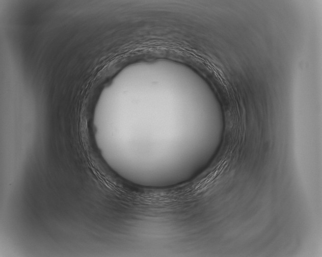 X0000113361489200909150956