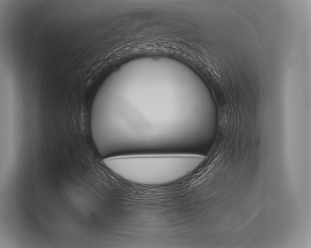 X0000113361490200909150956